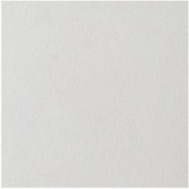 Ceiling Tile, White, 12 x 12-In.