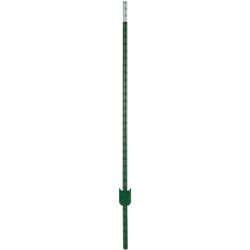 W Silver Inc 8' 1.25 Green Stl T-Post (Pack of 5 )