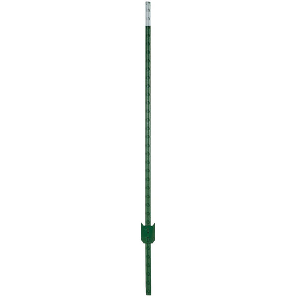 W Silver Inc 8' 1.25 Green Stl T-Post (Pack of 5 )