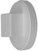 PLUG 2IN DWV MIPT PVC