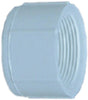 CAP 3/4 FIP PVC