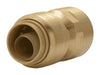 SharkBite Brass Push Female Adapter