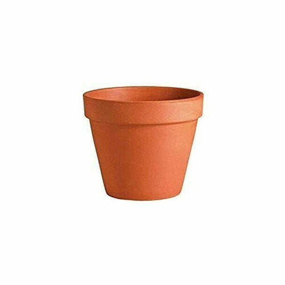 Deroma Terra Cotta Standard Clay Pot