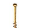 GRK Fastener Finish Trim Head Screw