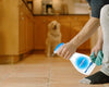 Pooph Pet Odor & Stain Eliminator