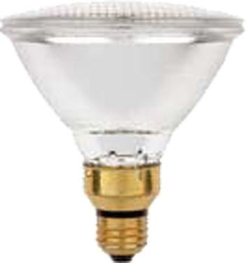 PAR38 CLEAR FLOOD LIGHT