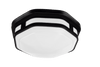 ETi Solid State Lighting Outdoor Color Preference® Hexagon Flushmount (Black)