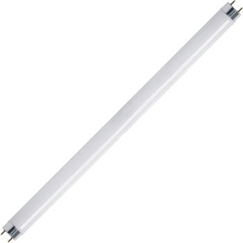 Feit Electric F30T8/CW Cool Fl Bulb