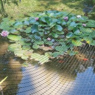 Tenax Plant and Pond Protect Net Roll