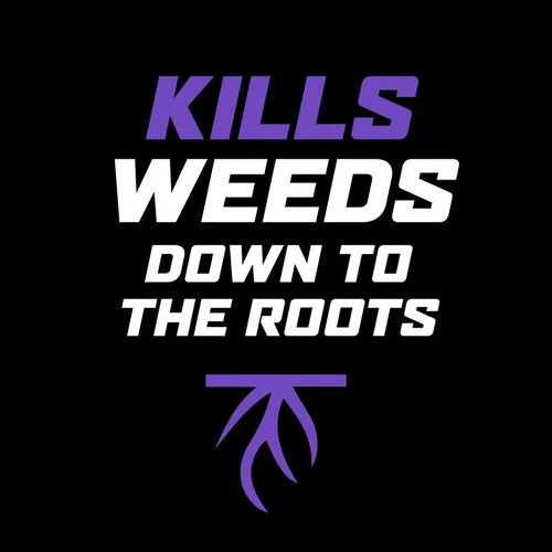 Ortho® WeedClear™ Lawn Weed Killer Ready-to-Spray₃ (South)