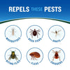 Cutter Backwoods Insect Repellent (Aerosol)