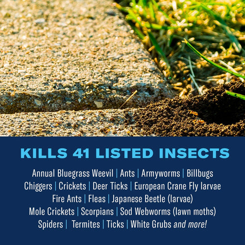 BioAdvanced Complete Insect Killer for Soil & Turf Granule