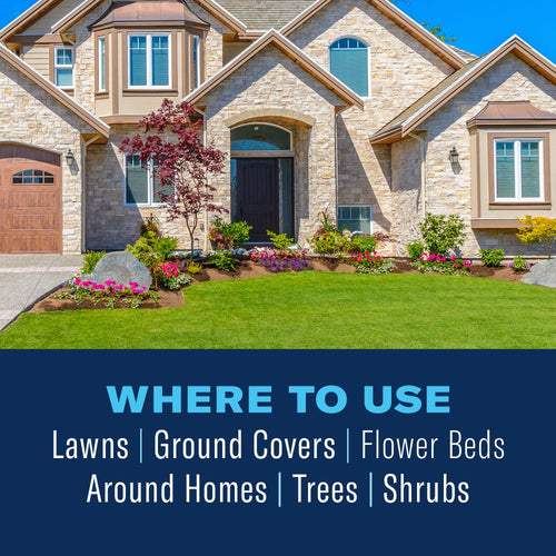 BioAdvanced Complete Insect Killer for Soil & Turf Granule