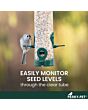 Perky-Pet Green 2-in-1 Tube Bird Feeder