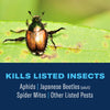 BioAdvanced 3-in-1 Insect, Disease, & Plant Mite Control