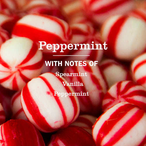 Mrs. Meyer's Peppermint Dish Soap