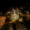 Feit Electric 3 in. Solar Powered Fairy Jar Light