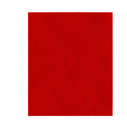 Diablo 9 x 11 Sand Demon™ Reusable Sanding Sheets