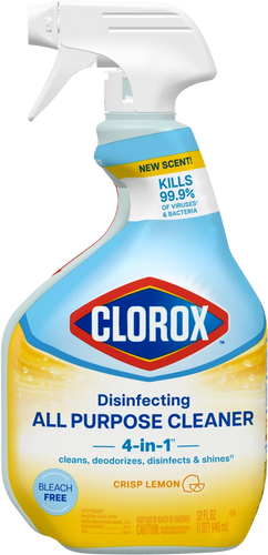 Clorox™ Disinfecting All Purpose Cleaner Spray
