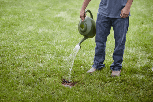 Scotts® EZ Seed® Patch & Repair Sun and Shade